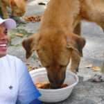 Concejal Alexis Castillo propone crear un banco de alimentos para animales en condición de calle en Barranquilla