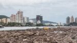 ¡Hasta un mueble había! Playas de El Rodadero, en Santa Marta, invadidas por residuos naturales y basuras