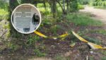 Clan del Golfo se atribuye masacre de cuatro jóvenes en Cartagena: los cartageneros se sumen en el miedo