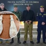 Menor de 16 años entre los cuatro abatidos en bombardeo contra disidencias de las FARC en el Catatumbo