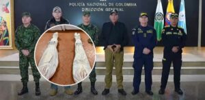 Menor de 16 años entre los cuatro abatidos en bombardeo contra disidencias de las FARC en el Catatumbo