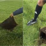 ¡Vergüenza! Minutos antes del partido, Dimayor canceló el juego entre Millonarios y Caldas por horrible gramado de El Campín