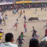 Corte Constitucional ratifica Ley “No Más Olé”: ¿se acaban las corralejas, peleas de gallos, coleo y corridas de toros?