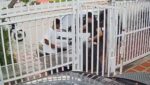 ¡Atracos, de no parar! Joven fue despojado de sus pertenencias por asaltante en el barrio Los Andes, Barranquilla