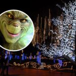¿Llegó el Grinch? Invitan a los colombianos a no instalar alumbrados navideños por recrudecimiento del fenómeno de El Niño
