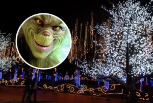 ¿Llegó el Grinch? Invitan a los colombianos a no instalar alumbrados navideños por recrudecimiento del fenómeno de El Niño