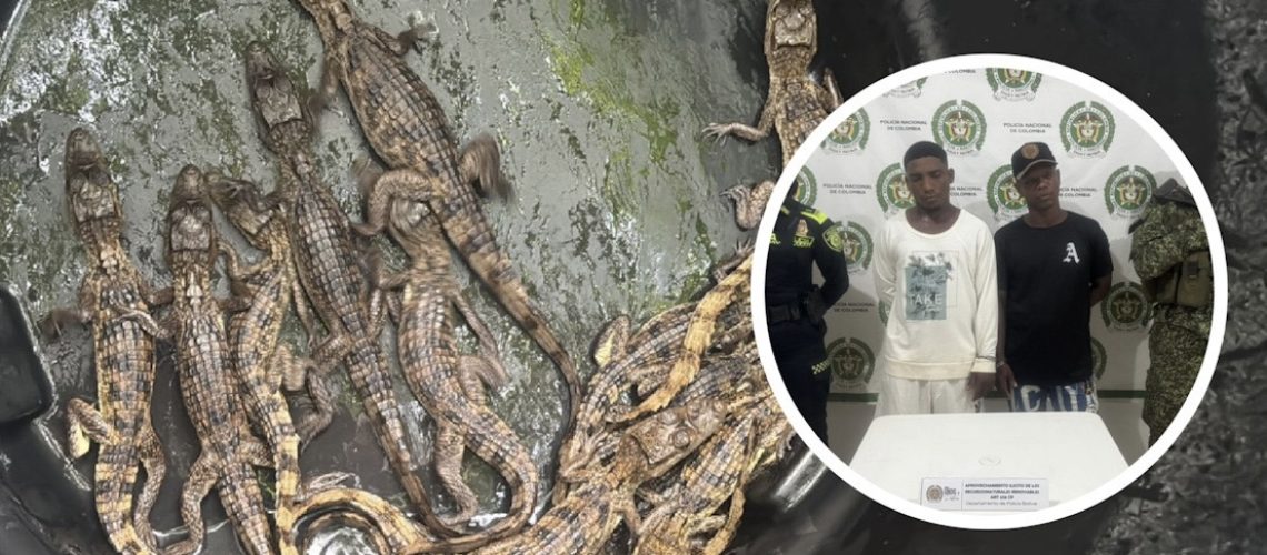 366025B1-FBE2-4C5C-A107-1330B91DE3A5