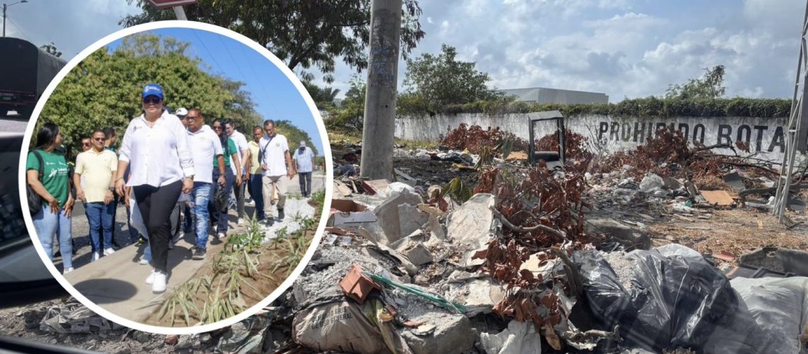 73153f03-eaf4-49e1-8b0a-114b8823e98a