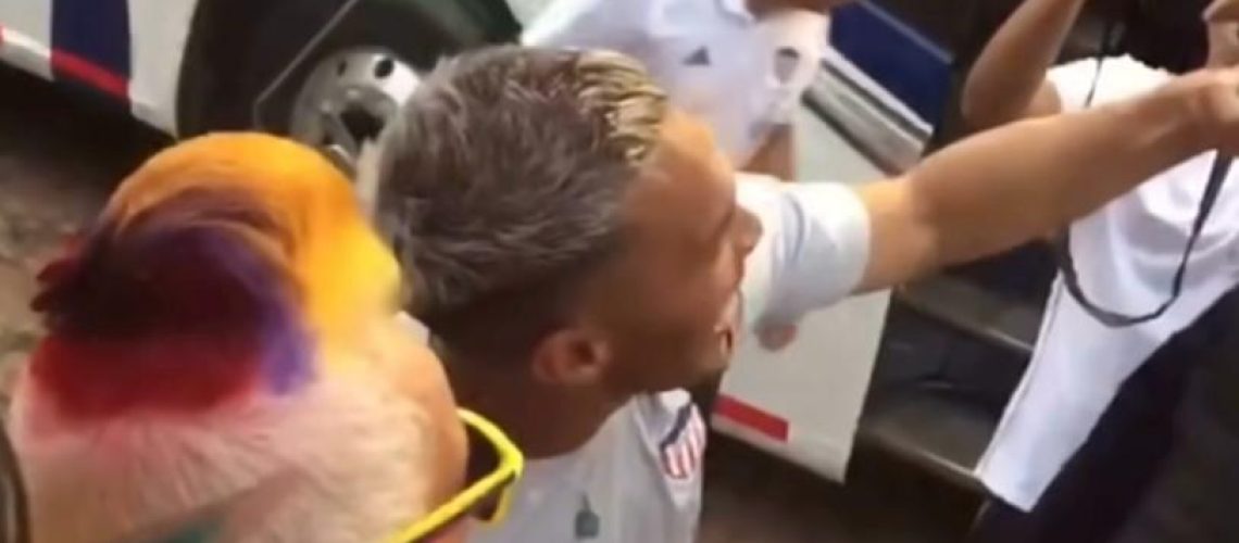 76998a69-a0b7-49df-8cb9-91c802444491