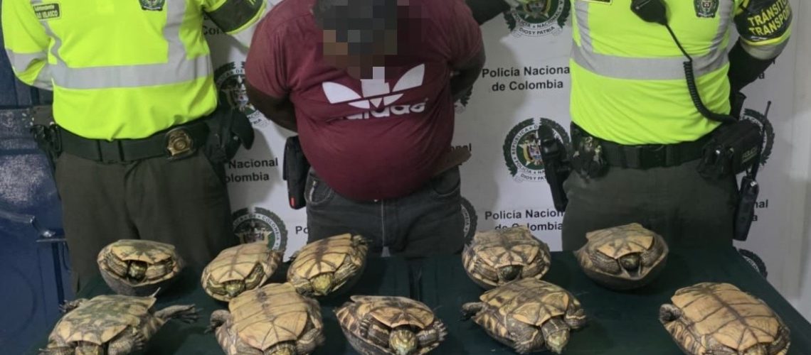 7a938c6f-31de-4304-ac10-9a25fe78d0ba