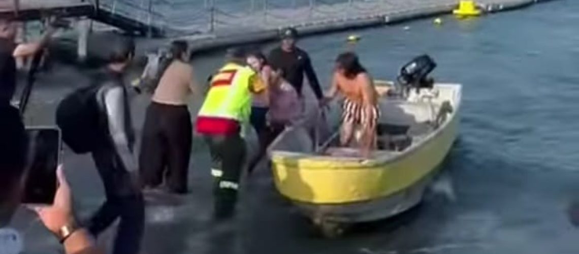 7d6cae57-6913-4779-a5cf-5bb6c04f64f1