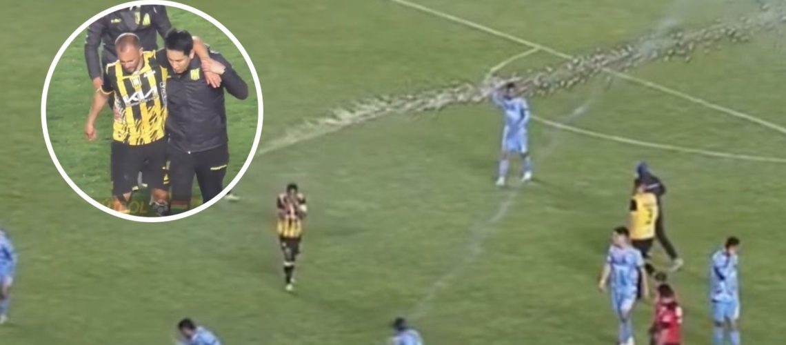 832e138b-cf90-4cc3-a4aa-c0e8b5ff2e39