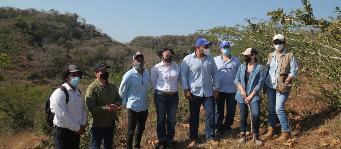 877CD22D-1E03-489B-ACD4-362D93FB004E