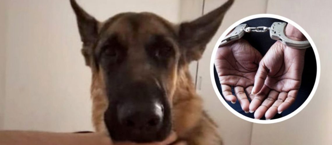 A prisión por muerte de pastor alemán 2