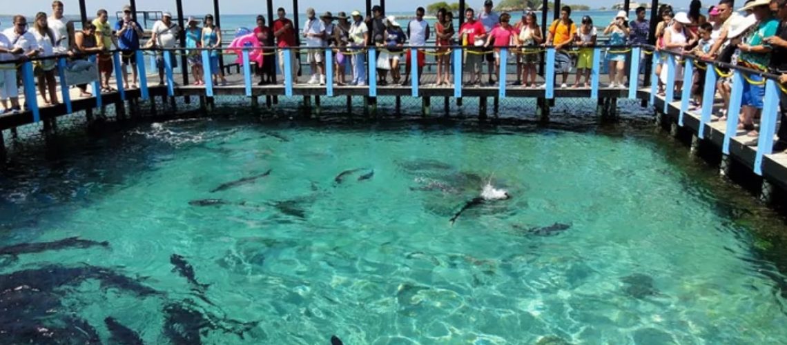 Acuario El Nativo