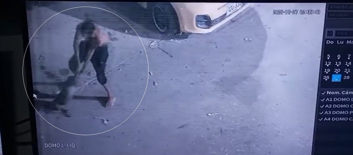 Asesinato perrita por habitante de calle en Barranquilla