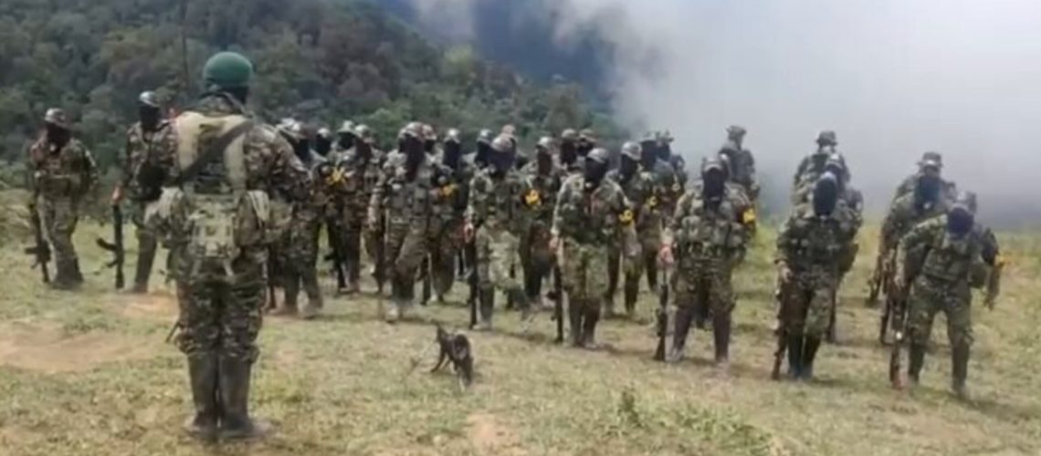 Autodefensas Conquistadores Sierra Nevada o Los Pachencas