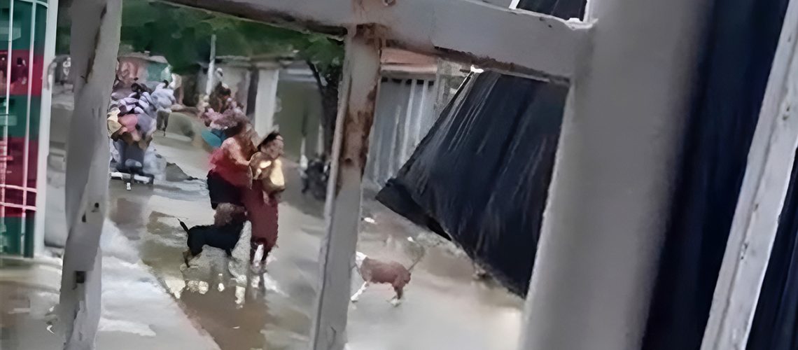 Bebé herido en Las Malvinas1