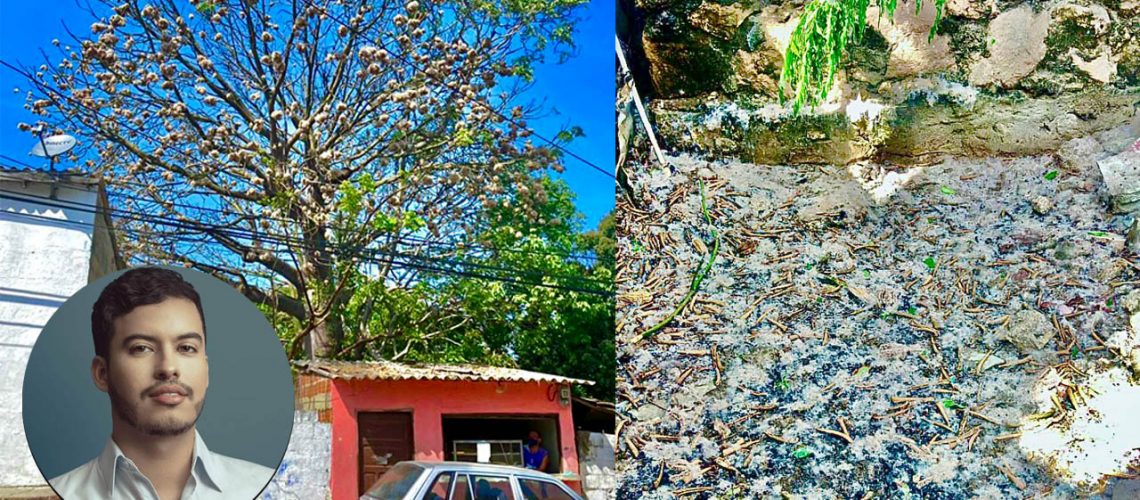 Bonga de Puerto Colombia1-1