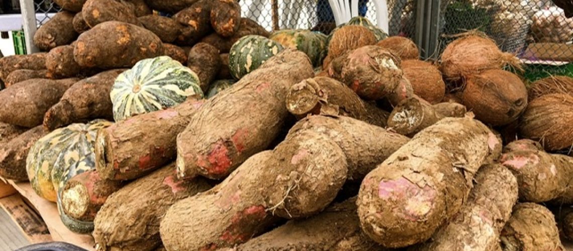 C5660F2A-79DC-4238-8EA3-A73821139215