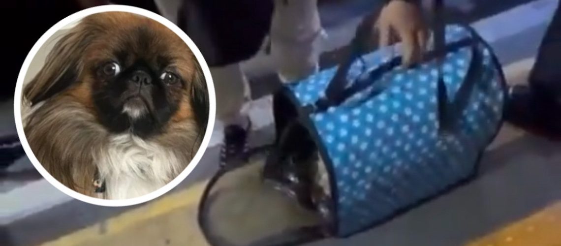 CC90CC8C-90E8-4A70-A9C8-63896233FBE5