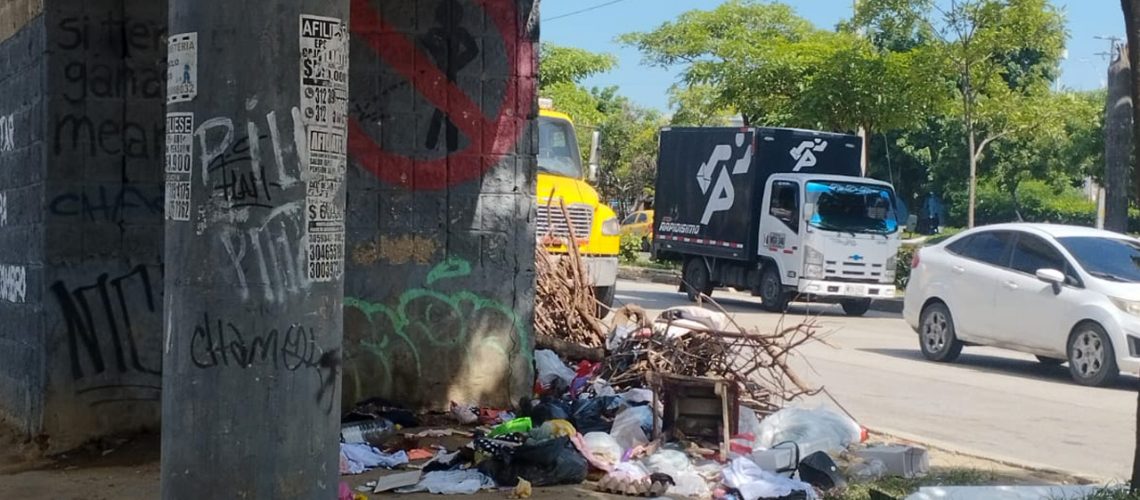 Caballo basurero a cielo abierto1