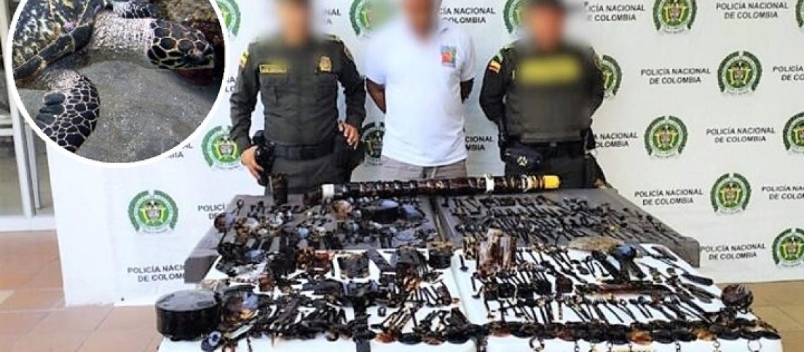 Capturado artesanías tortugas Carey Cartagena (1)