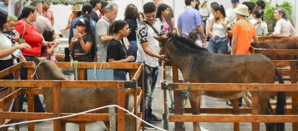 Cierre Agroexpo Caribe 2024