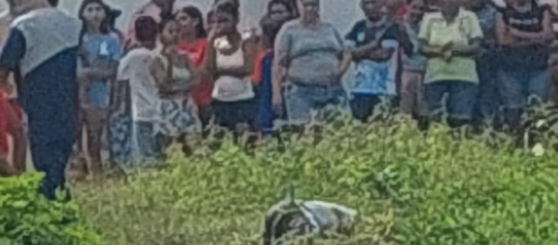 Cuerpo hallado en zona enmontada de La Central, Soledad
