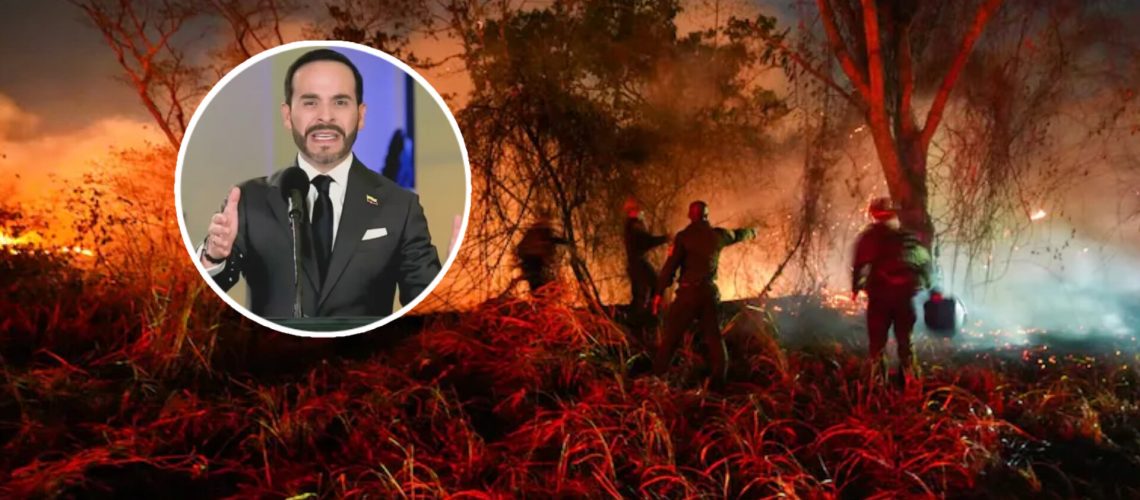 De la Espriella incendio Tolima