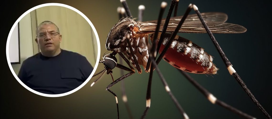 Dengue Soledad recomendaciones