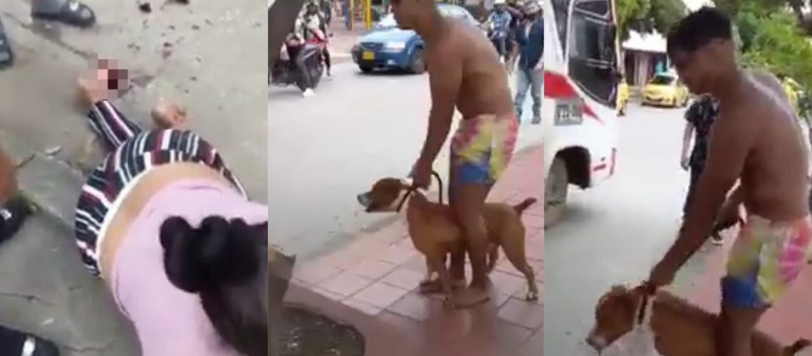 Denuncia agresión perro