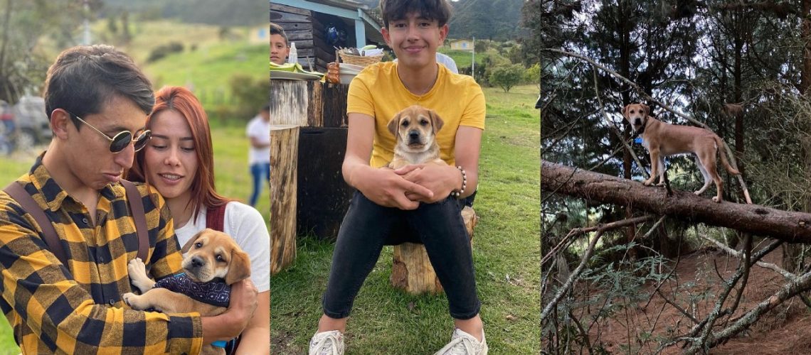 Destacada mascota Egan