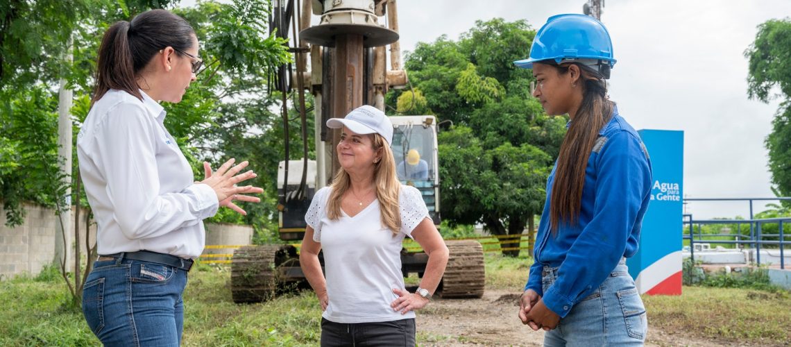 Elsa Noguera Algodonal