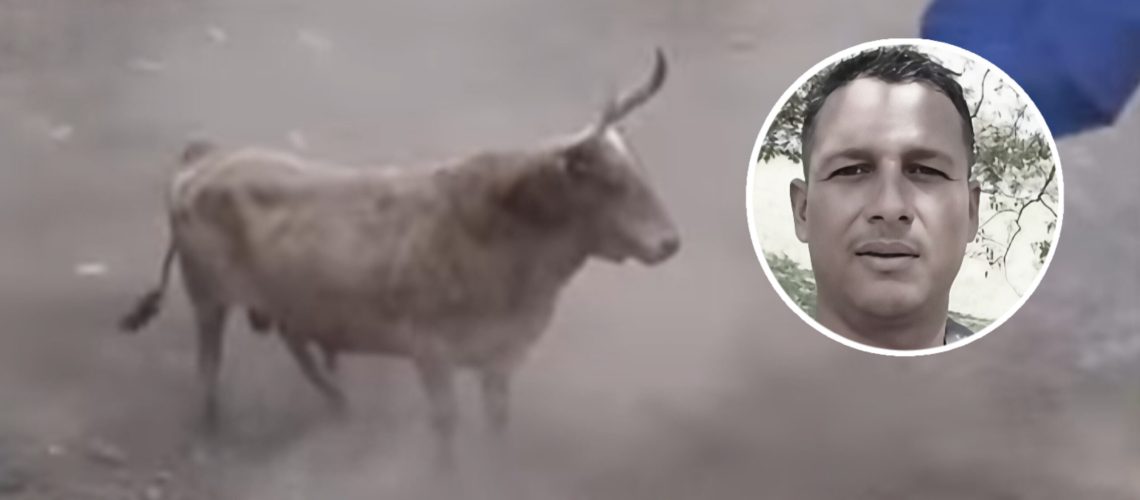 Fallecido tras ser corneado por toro en Molinero