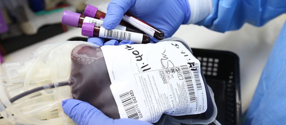 Globulos rojos sangre robo1