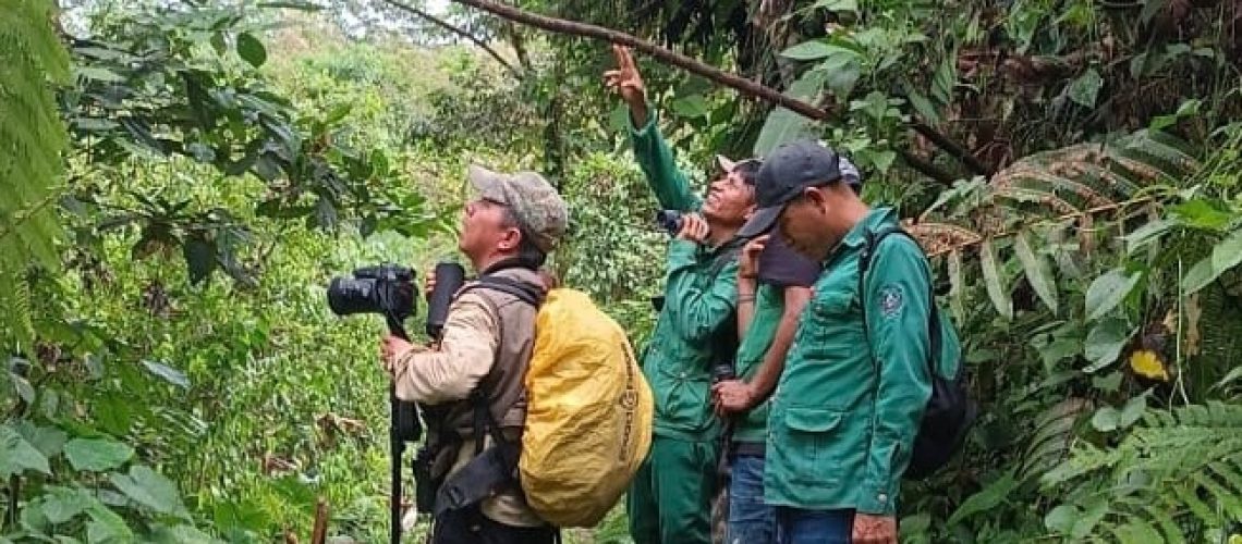 Guardabosques ProAves