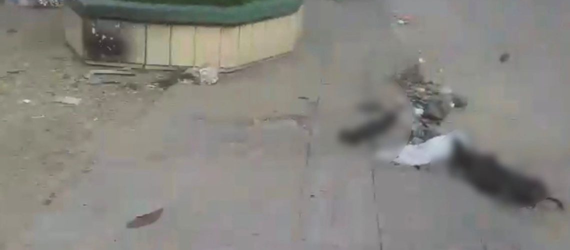 Hallan restos de caballo colegio Don Bosco (1)