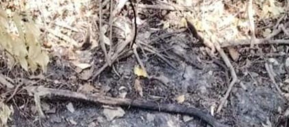 Hallazgo cadaver calcinado en Puerto Colombia