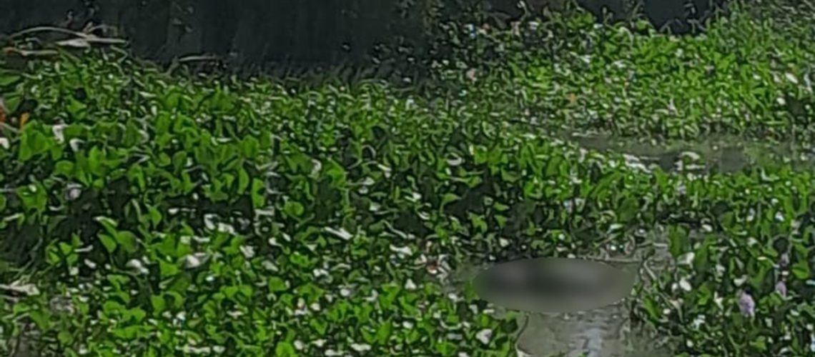 Hallazgo cadáver caño de la Auyama