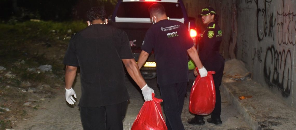 Hallazgo perros quemados y muertos en el barrio El Silencio de Barranquilla