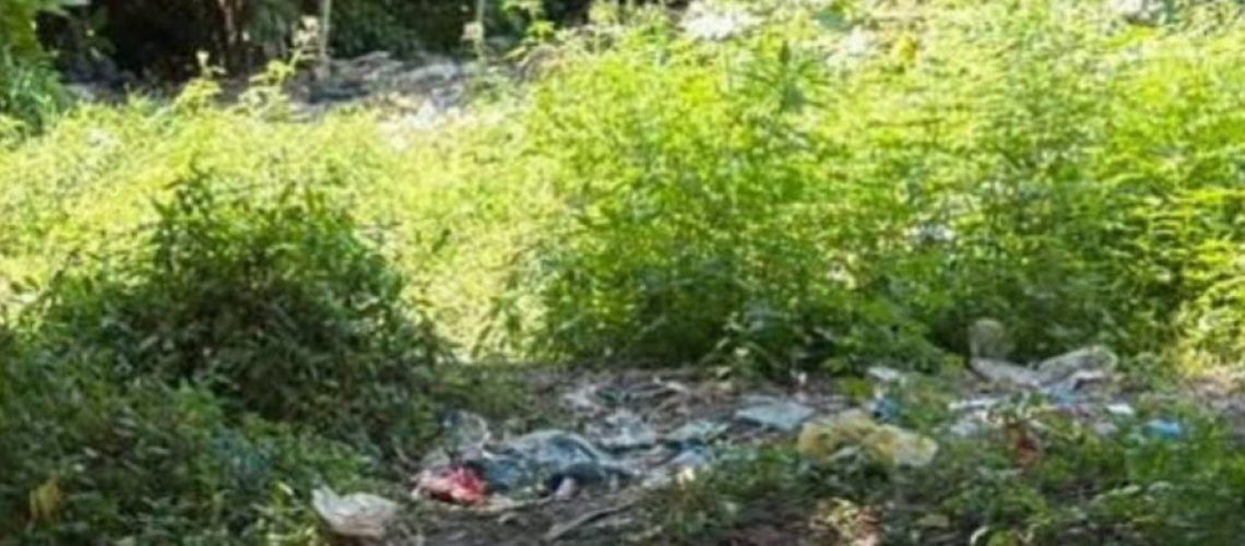 Hallazgo restos humanos en Me Quejo, Barranquilla