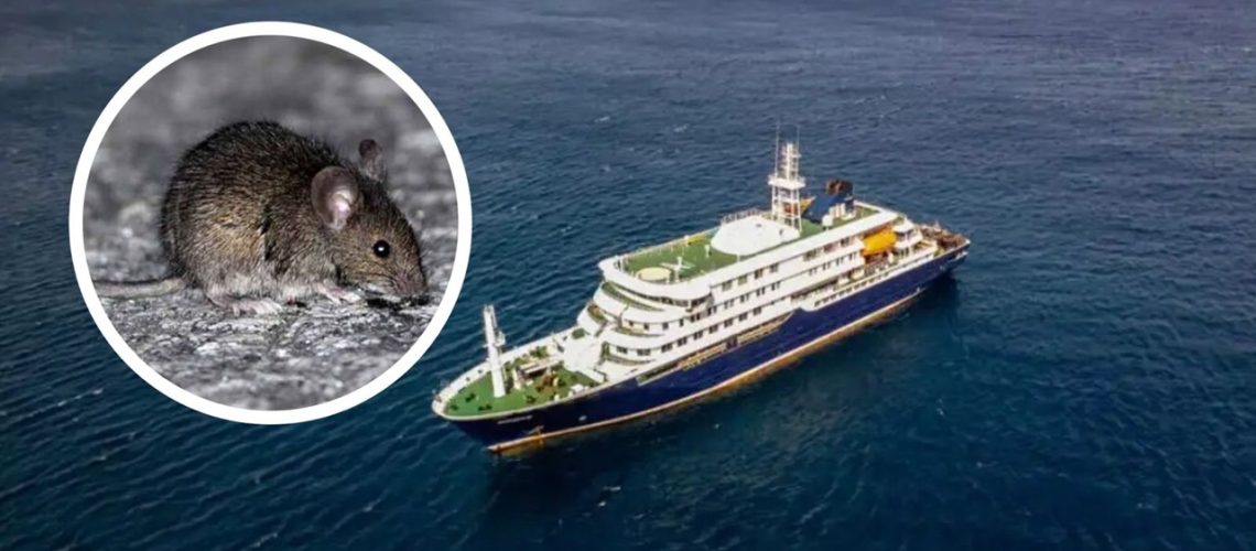 Hantavirus crucero