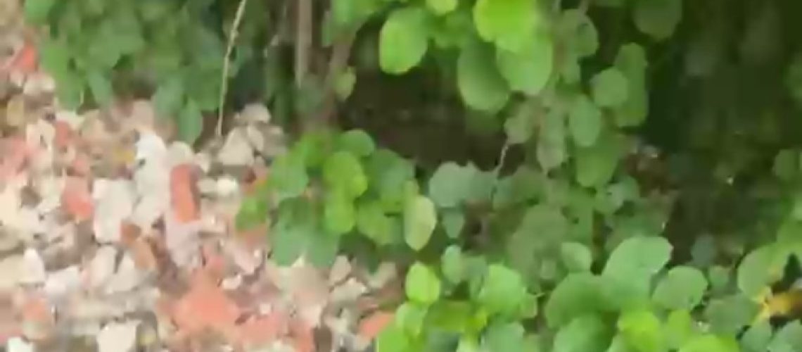 Hombre hallado muerto Puerto Colombia