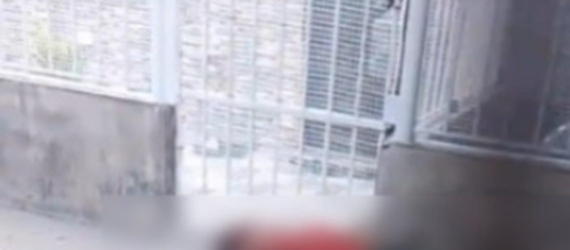 Homicidio El Concorde Malambo