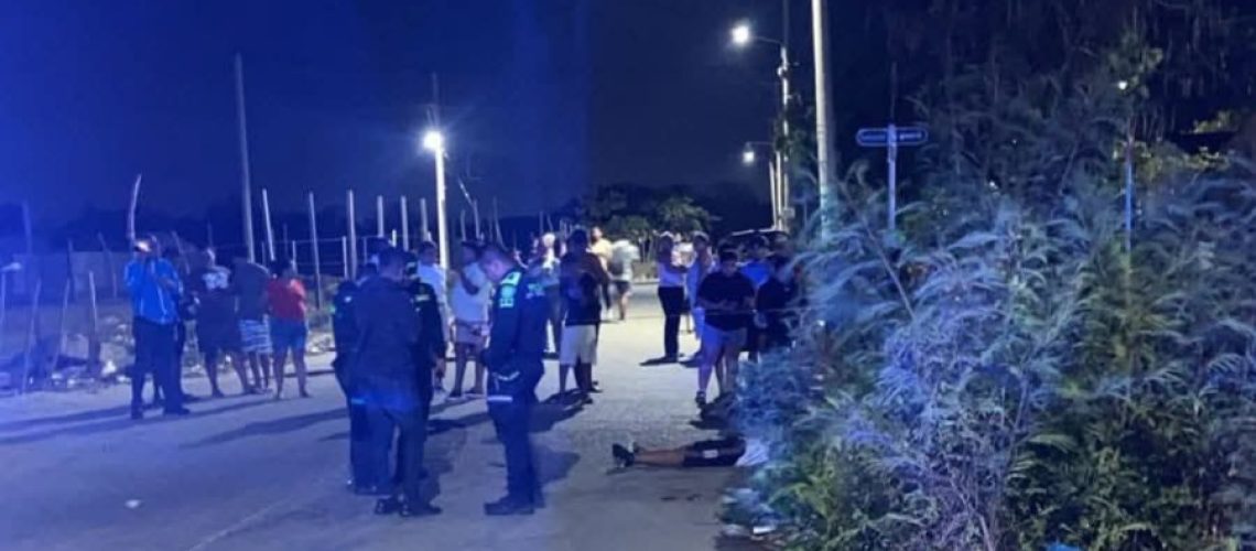 Homicidio joven chef en Los Almendros, Soledad