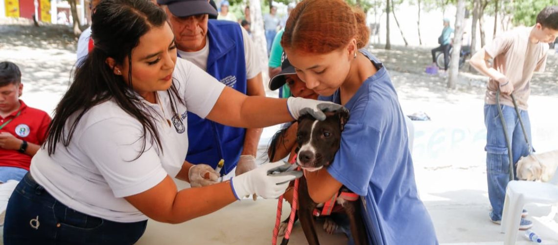 Atención Bienestar Animal Soledad