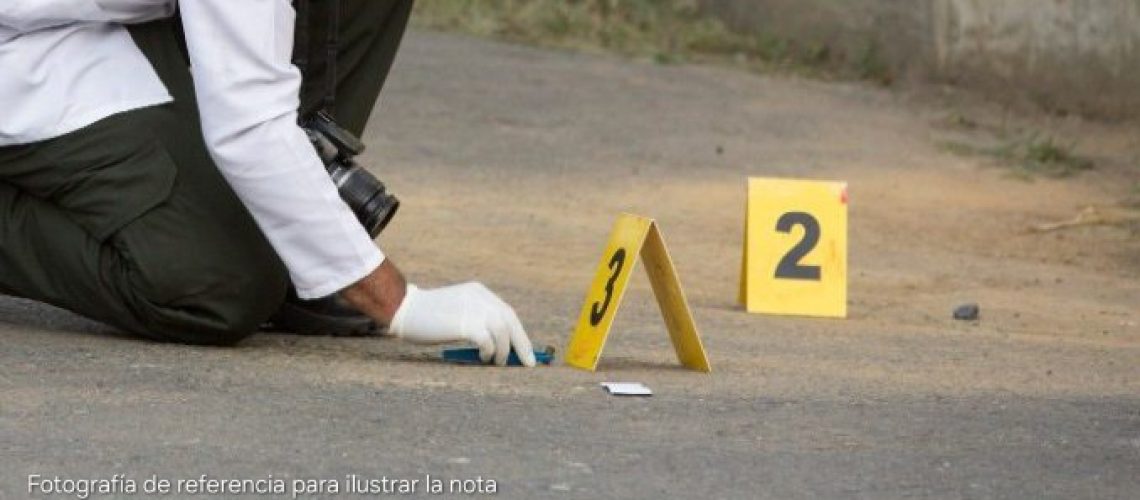 Homicidio referencia