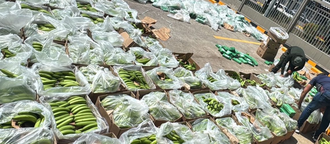 Cocaína incautada entre bananos en Cartagena