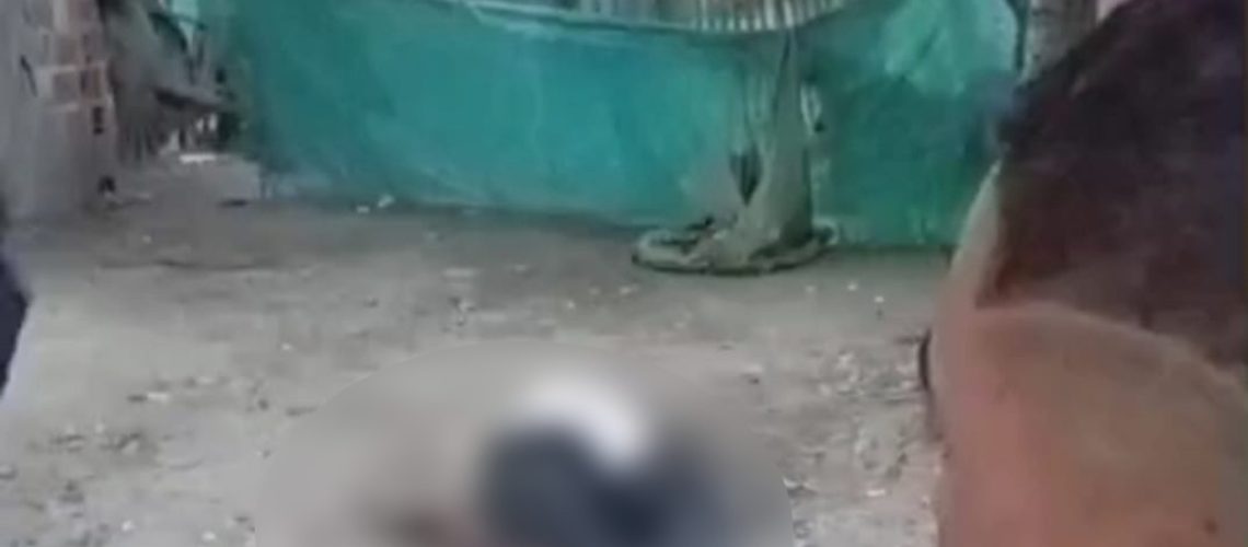 Doble homicidio Villa Sevilla